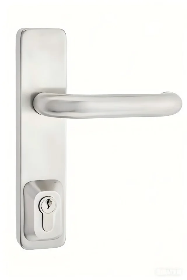 VIRTUES PEDL0027 Exit device outside trim